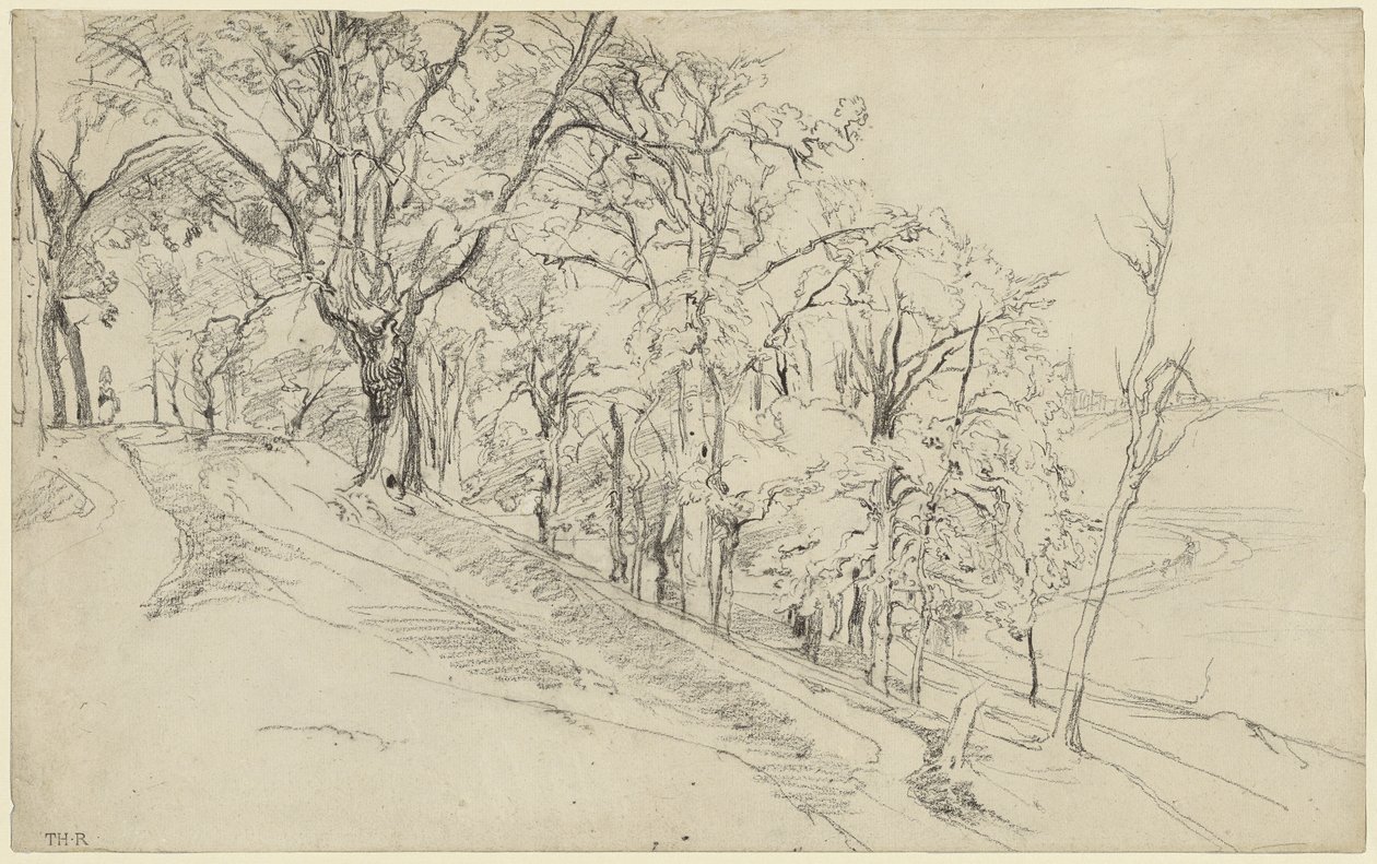 Forest in Boisrémond (recto); Cottage in a Forest (verso) by Theodore Rousseau
