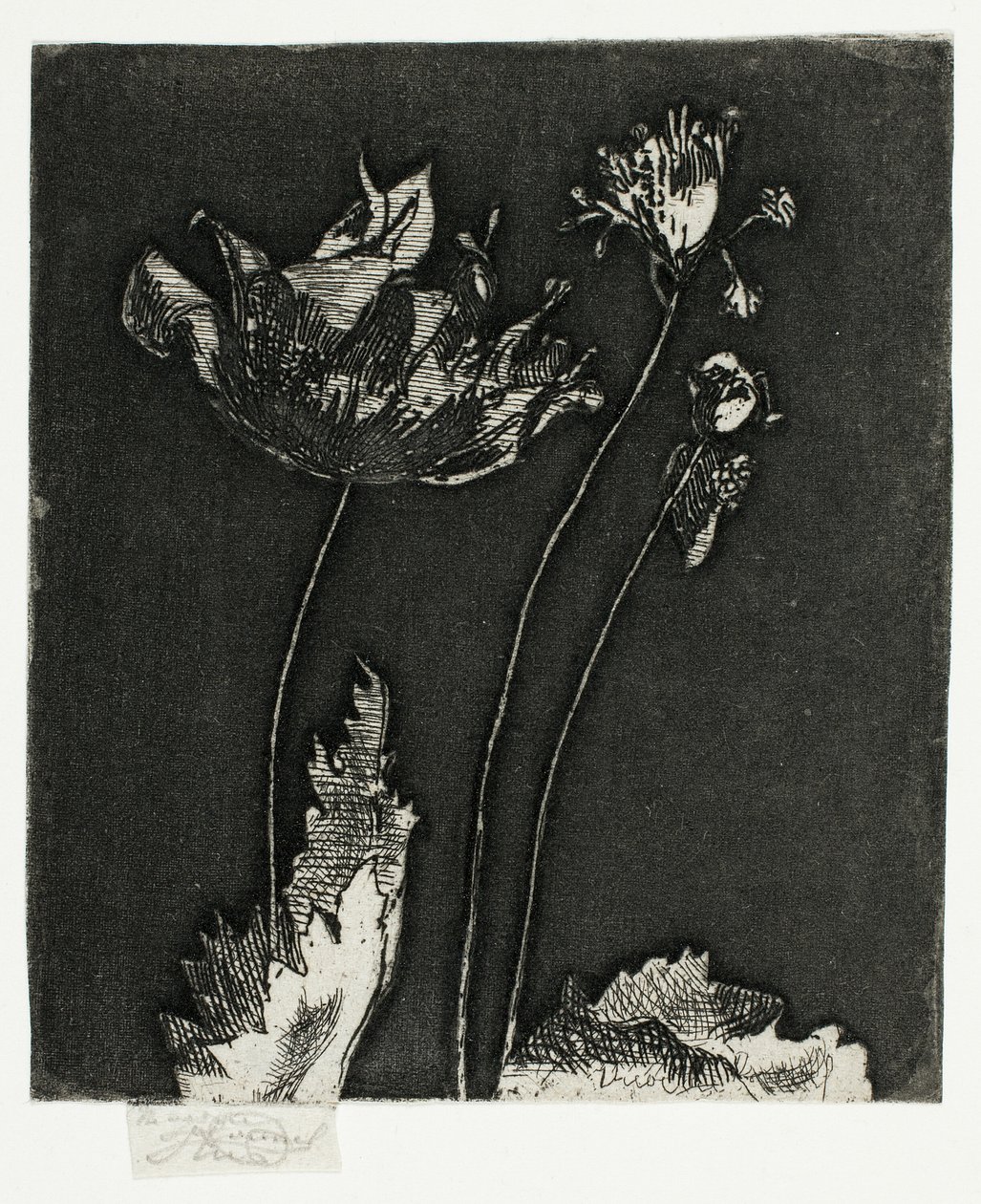Last Poppies by Theodore Roussel