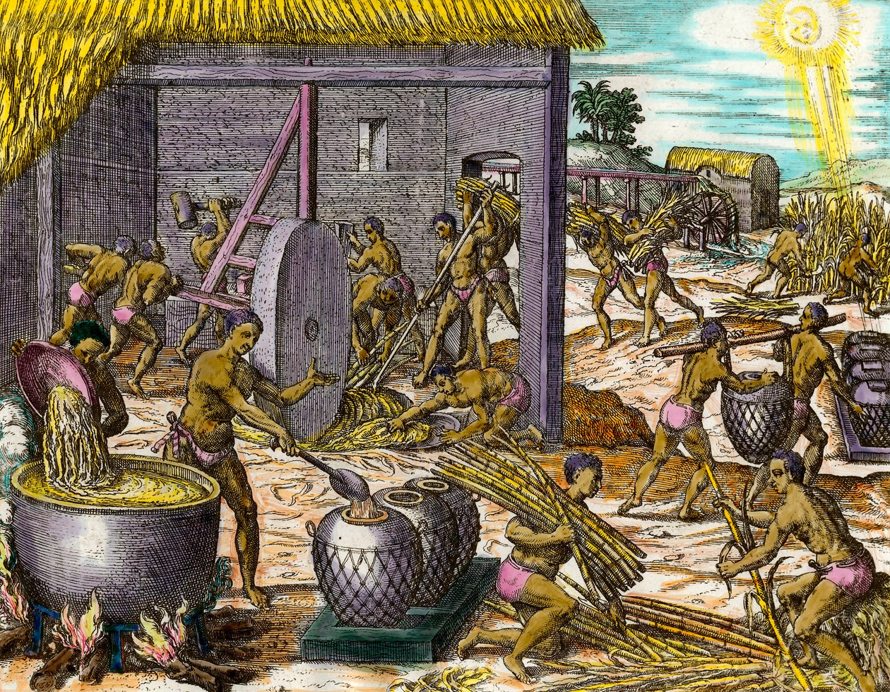 History of America: Collecting sugar cane and making sugar by Theodore de Bry