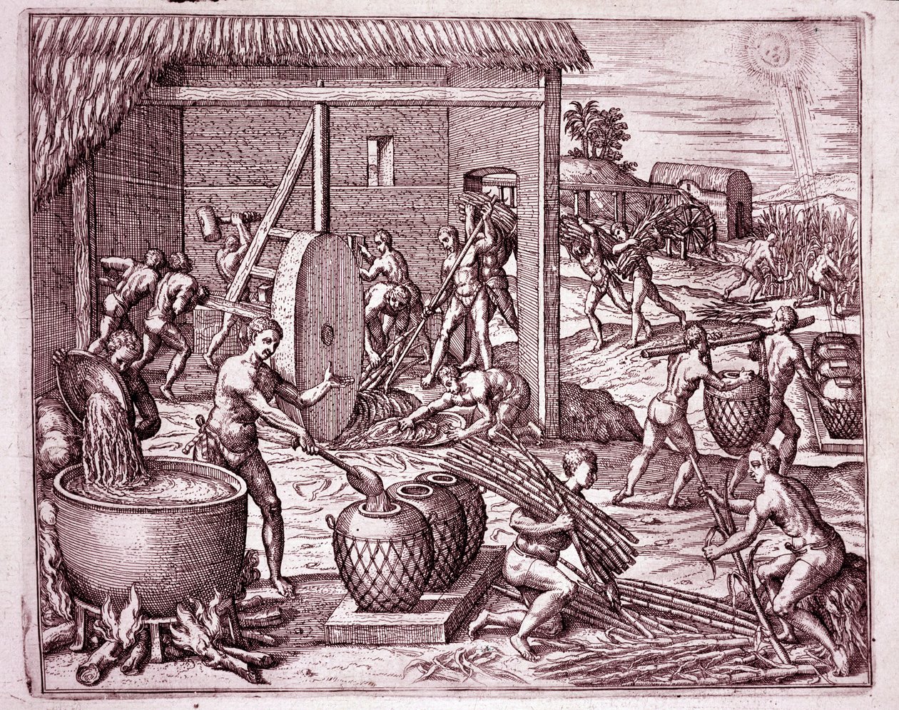 History of America: harvesting sugar cane and sugar production by Indian slaves who work for the Spanish conquistadors (Engraving) by Theodore de Bry