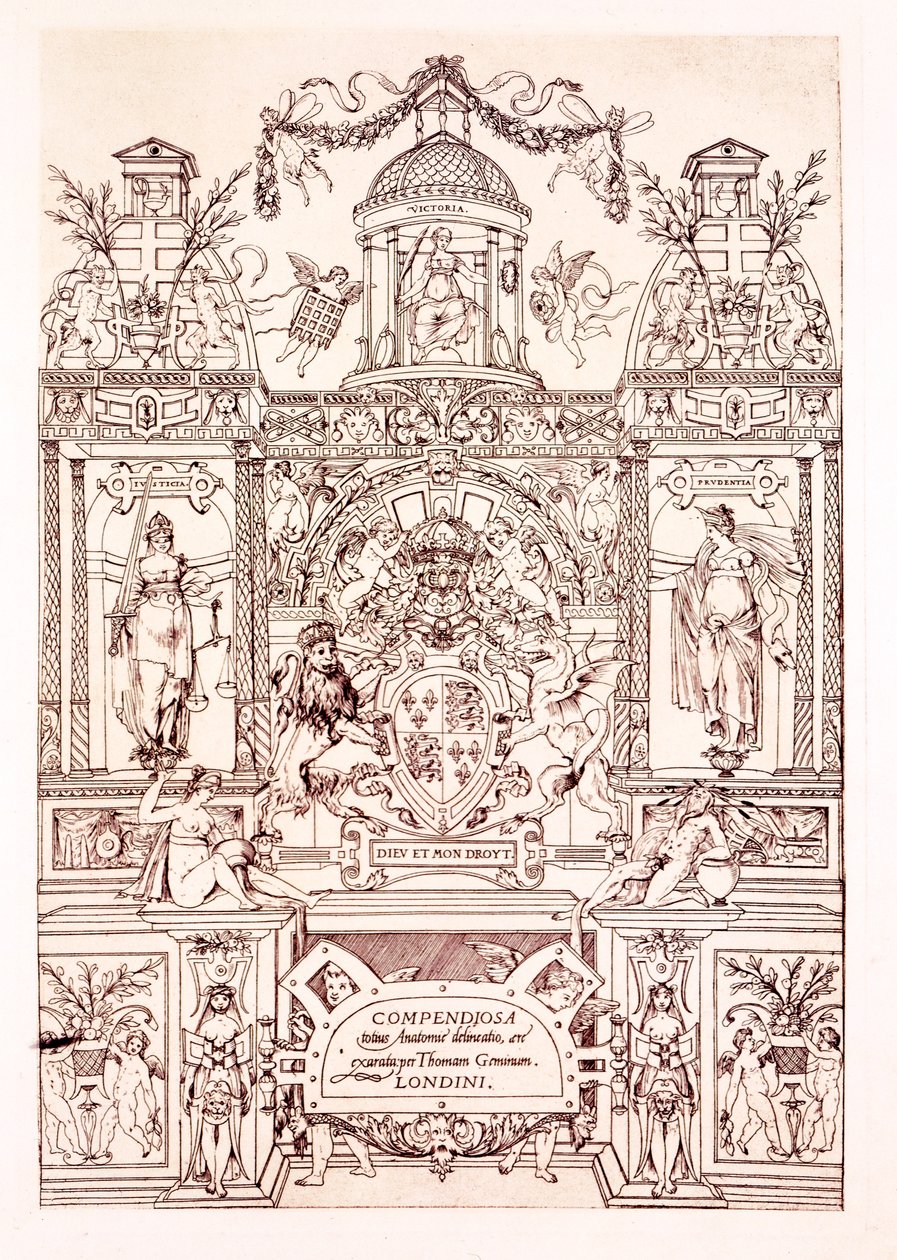 Frontispiece to Compendium of Anatomy by Thomas Geminus