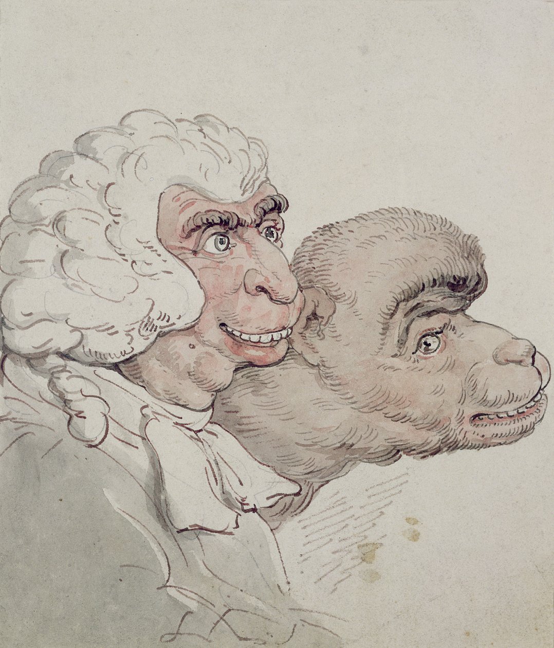 Caricature of a Judge by Thomas Rowlandson