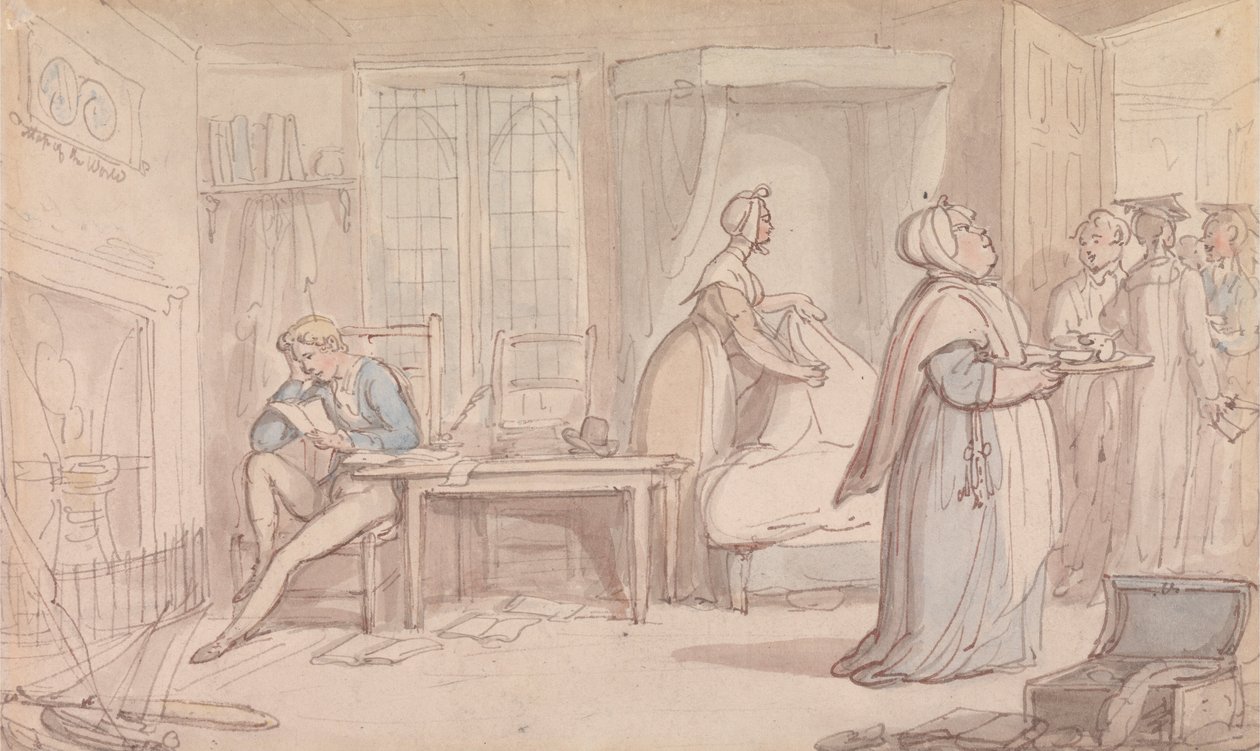 The Undergraduates