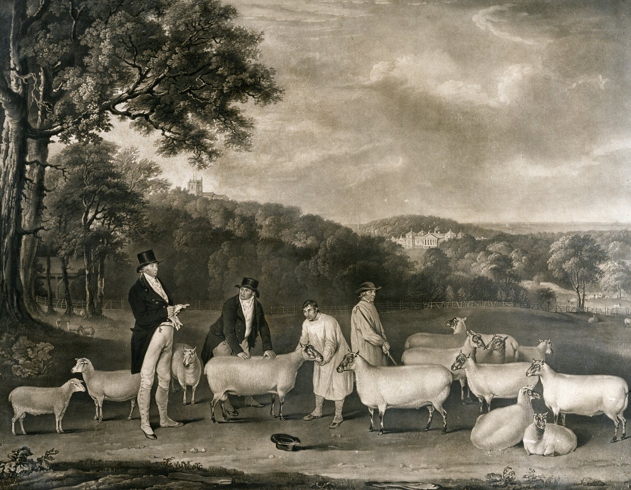 Portrait of Thomas William Coke inspecting South Down sheep with Mr Walton and the Holkham shepherds (engraved by William Ward, 1808) by Thomas Weaver