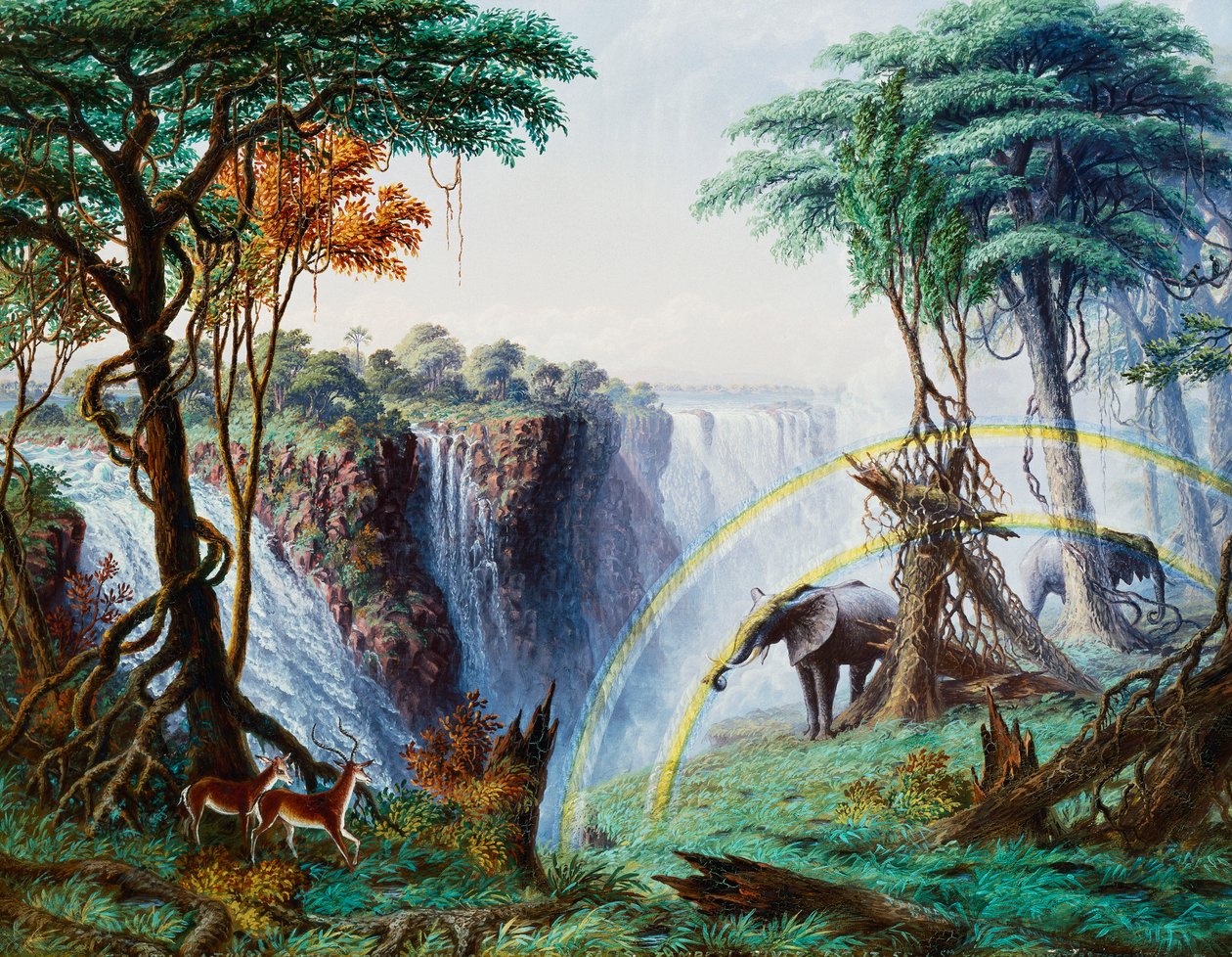 The Smoke That Thunders by Thomas Baines: Fine art print