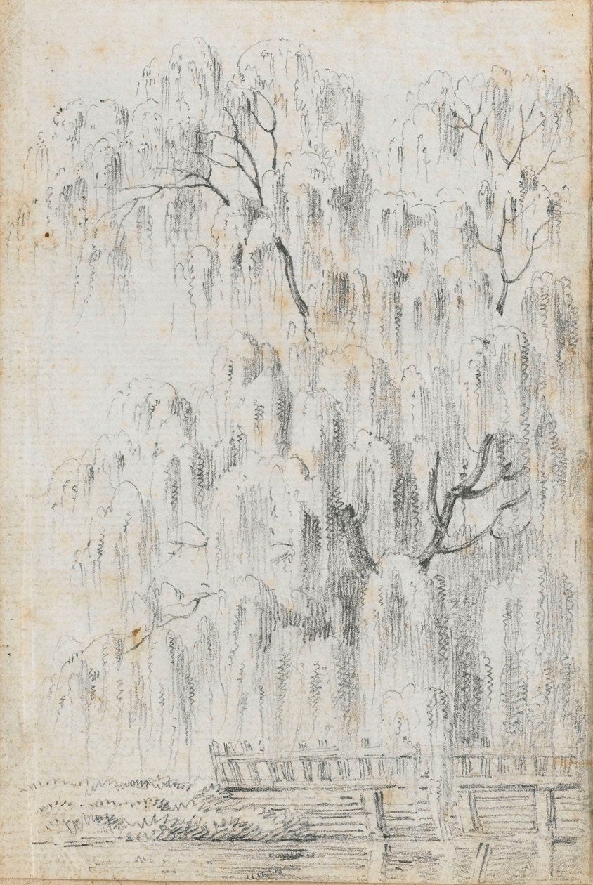 Study of a Tree Overhanging Water at Merton by Thomas Baxter
