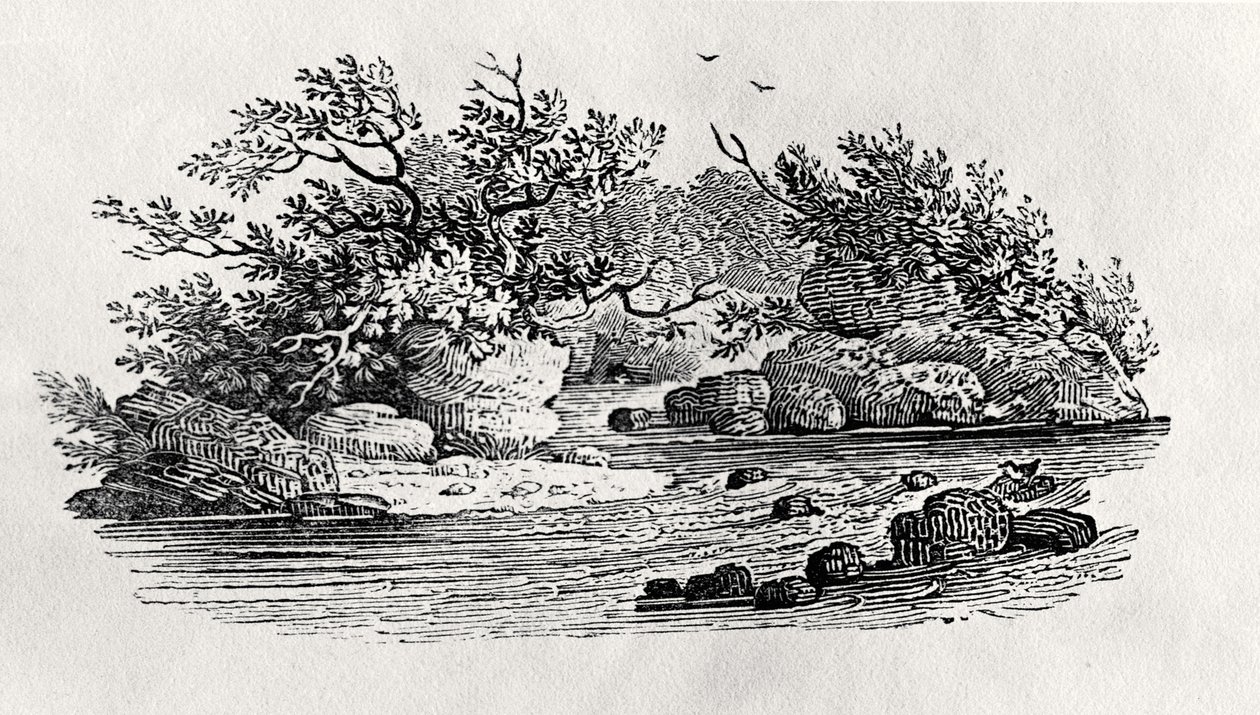 A bend in the river, from 