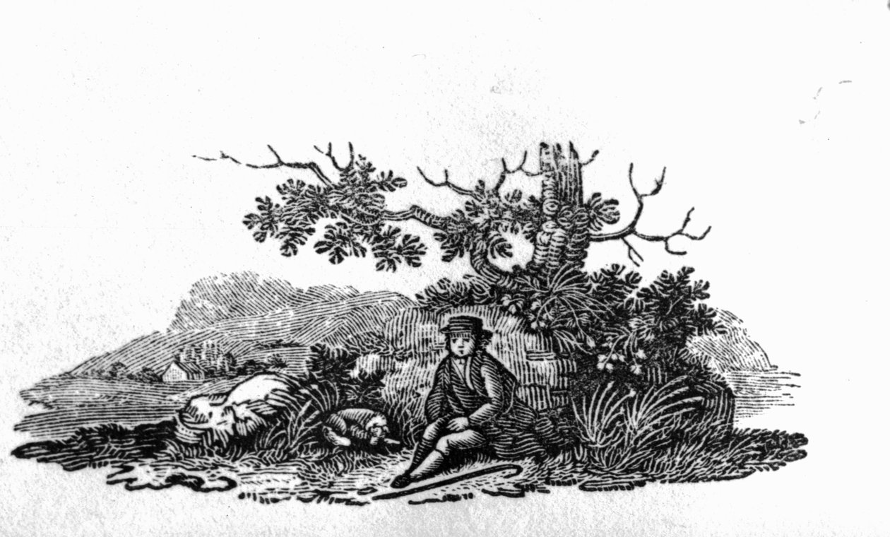 Man Seated by a Stunted Tree from 