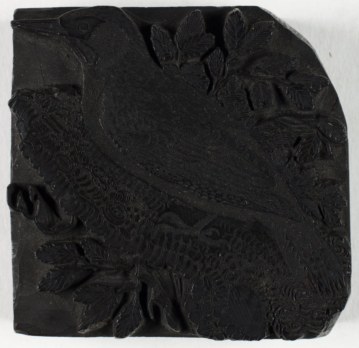 Woodblock for The Green Woodpecker, from A History of British Birds by Thomas Bewick
