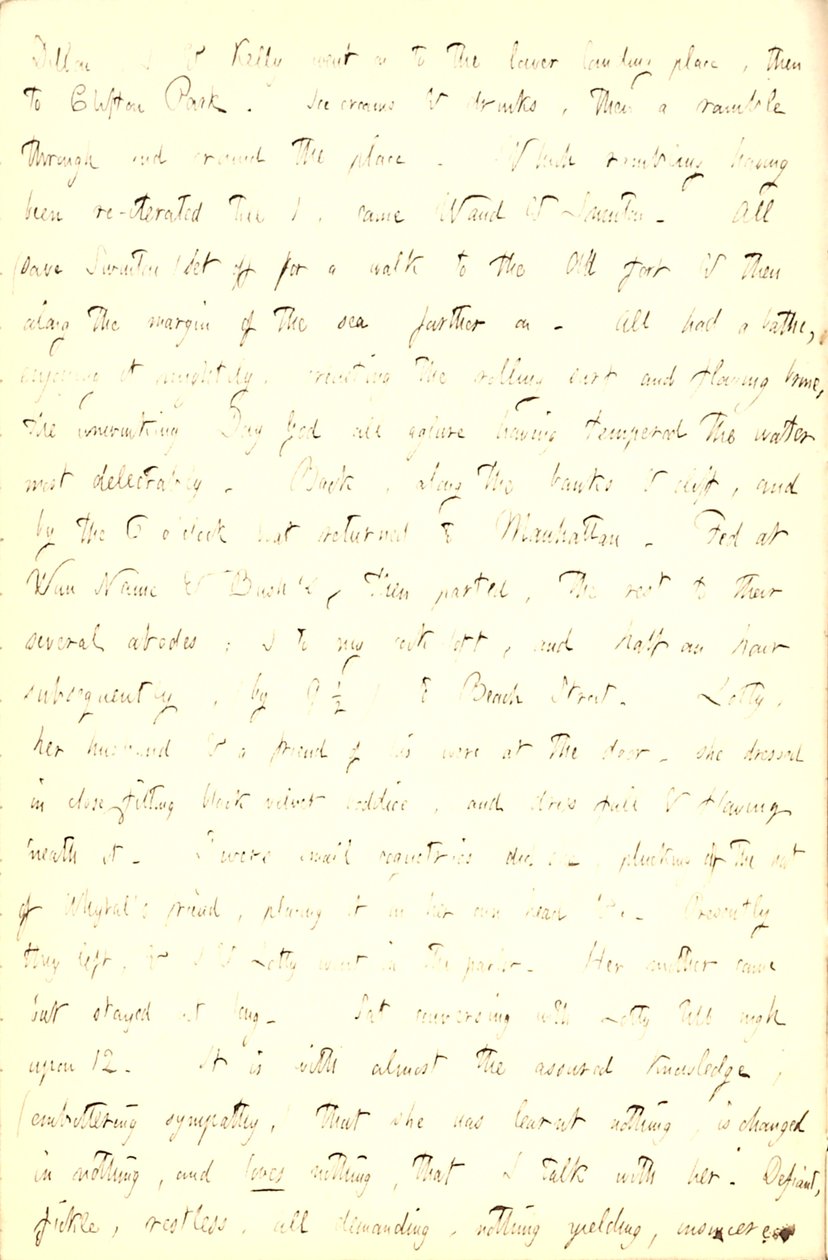 Thomas Butler Gunn Diaries - Volume 5, page 211, June 5, 1853 by Thomas Butler Gunn
