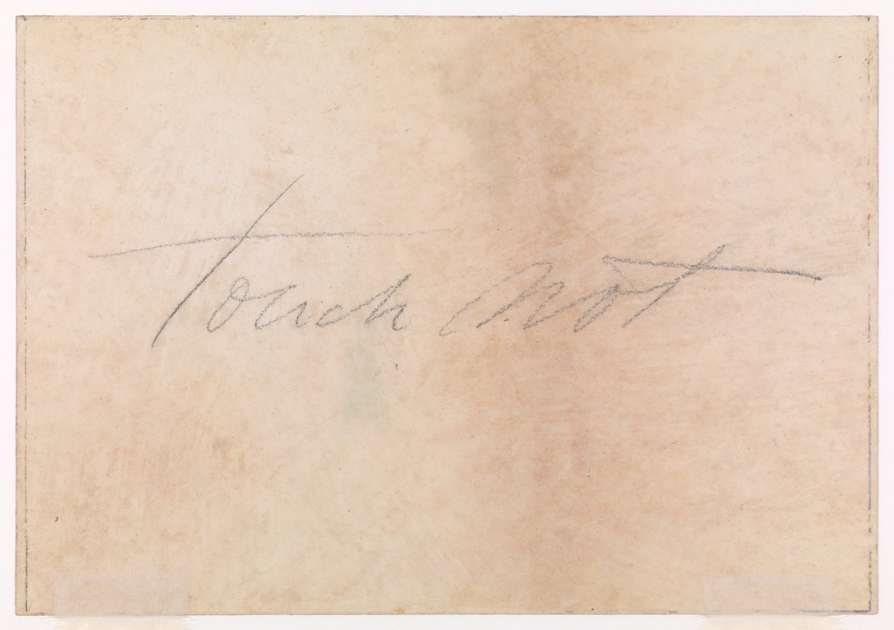 Burnham Beeches by Thomas Charles Farrer