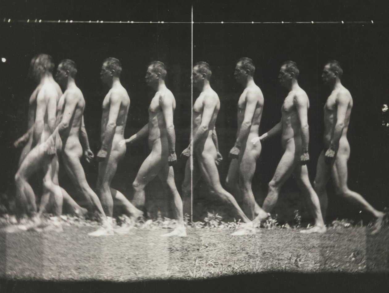 Man Walking, Stroboscopic Photograph, 1880s, printed 1930s-40s by Thomas Eakins