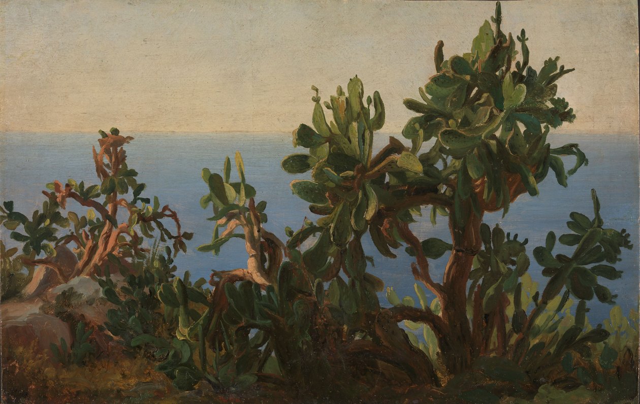 Cactus by Thomas Fearnley