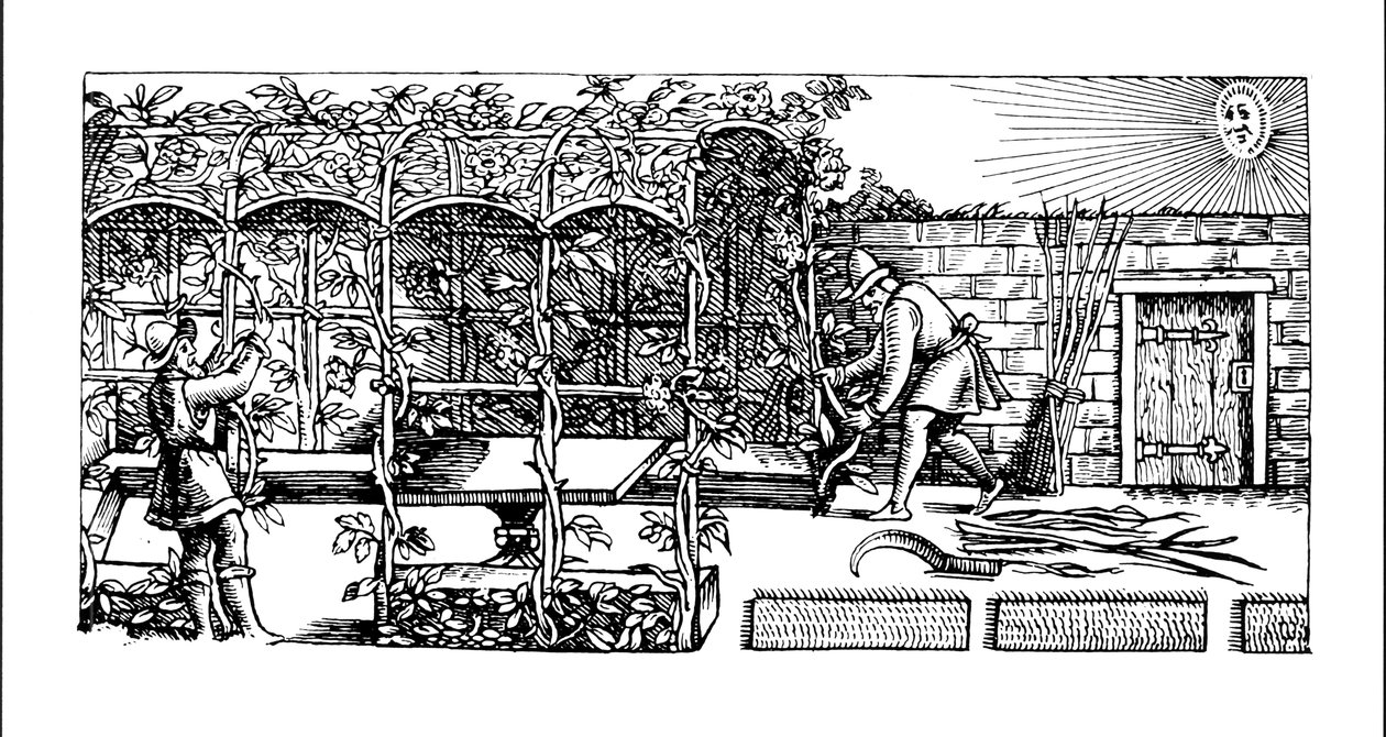 Arbour being built as a shade against the sun, from 