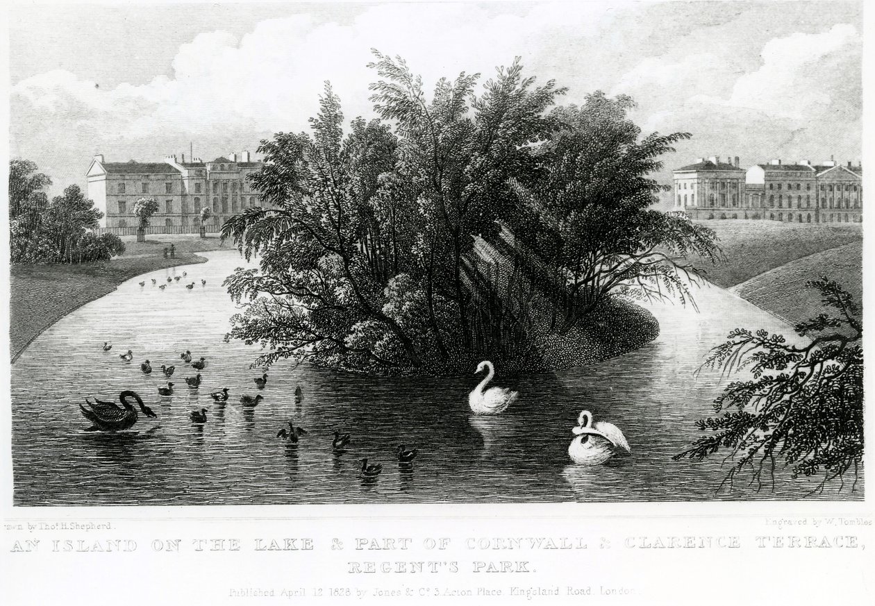 An Island on the Lake and Part of Cornwall and Clarence Terrace, Regent