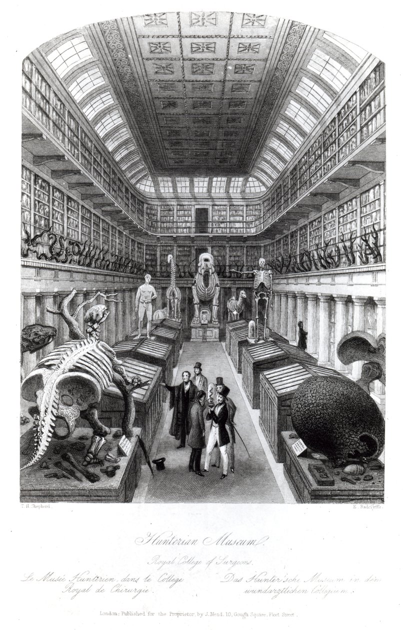 The Hunterian Museum, Illustration to 