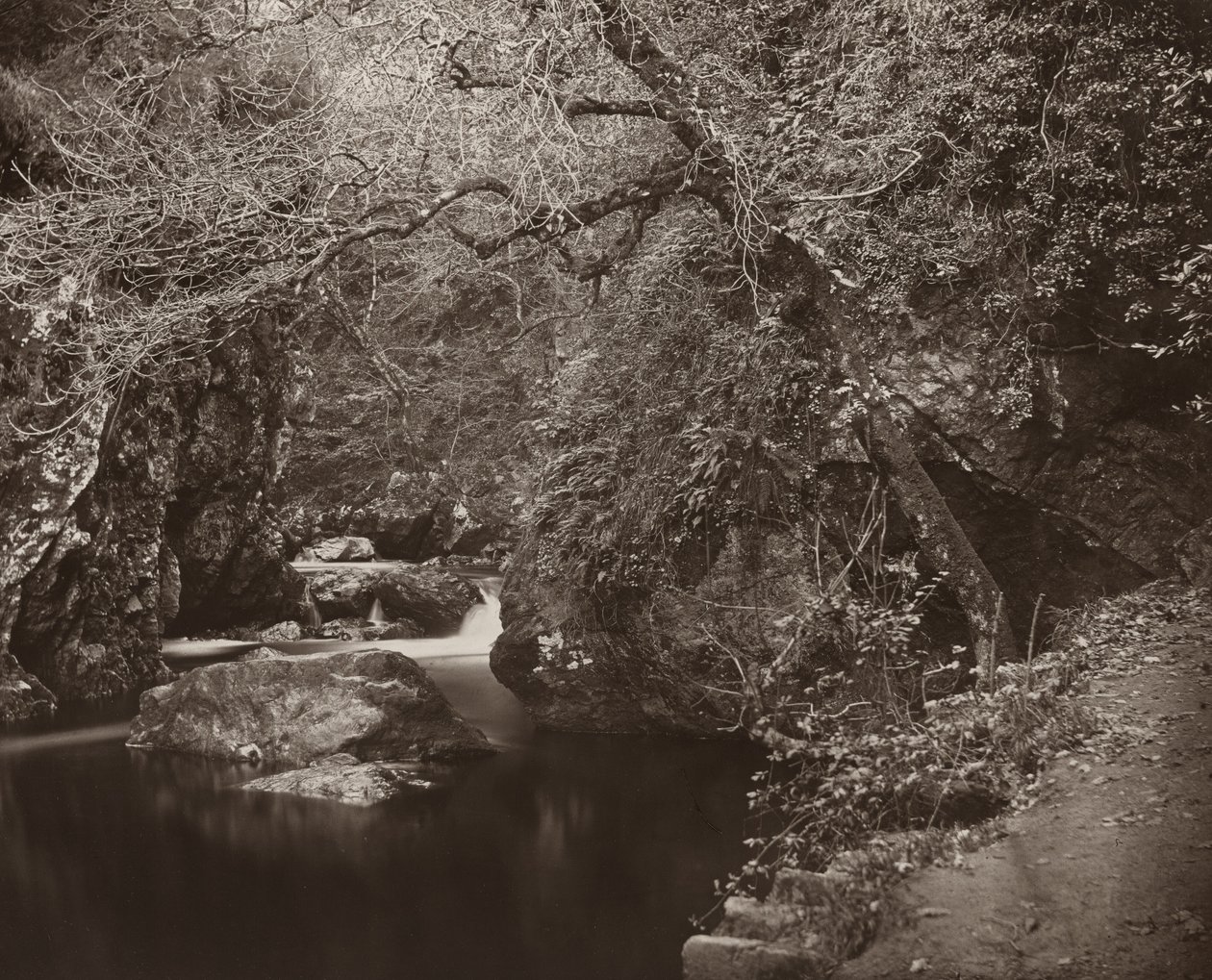 The Dargle Hole, c. 1865 by Thomas Marcus Brownrigg