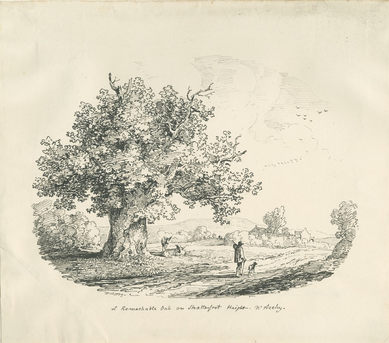 Arley - Shatterfort Height by Thomas Peploe Wood
