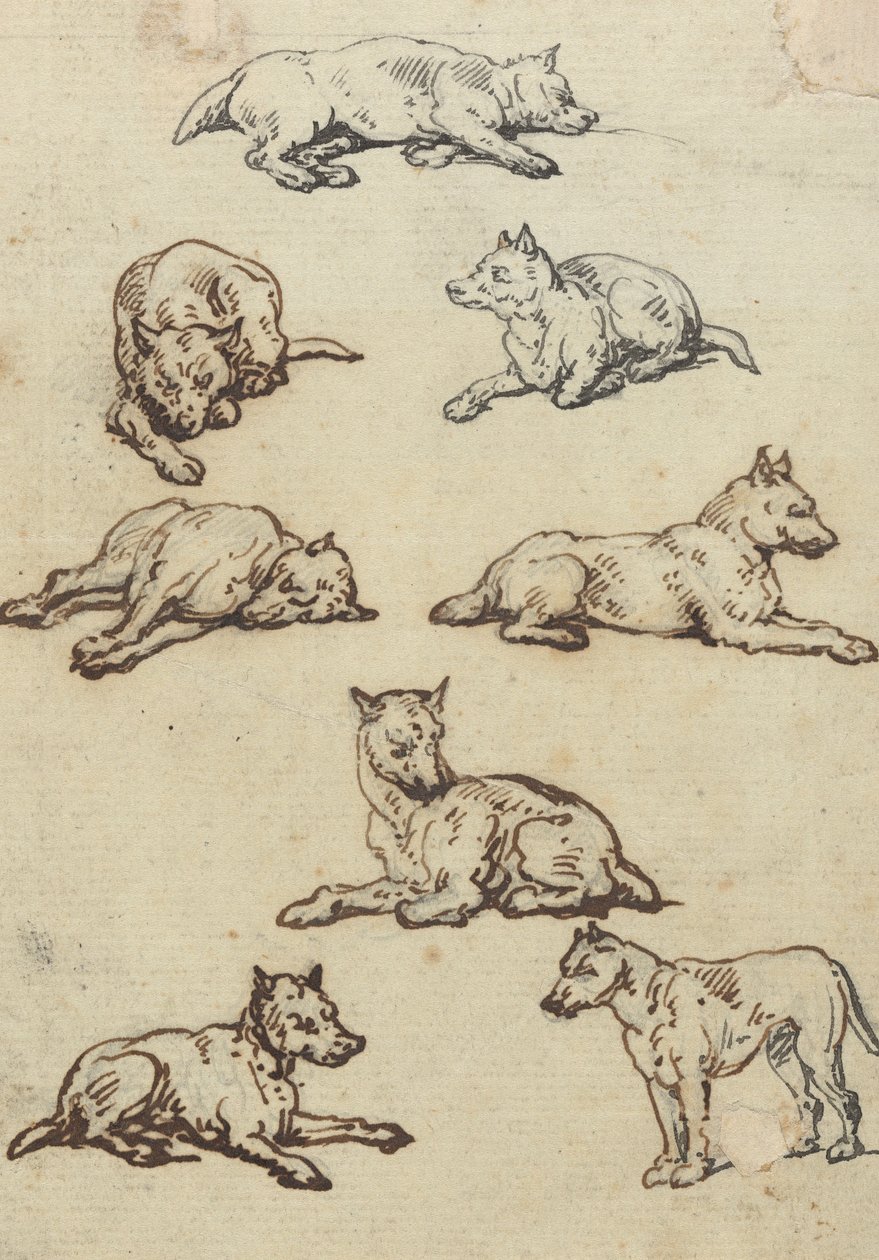 Album Drawing by Thomas Rowlandson