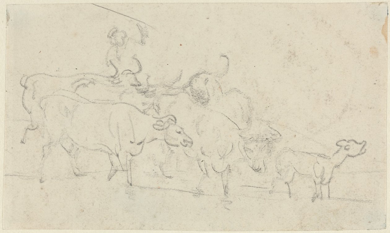 Cattle by Thomas Rowlandson