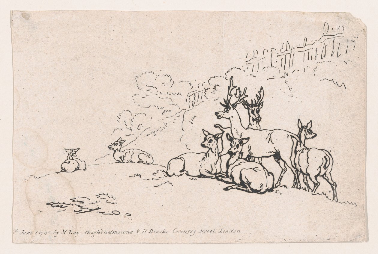 Deer from Plate 3, Outlines of Figures, Landscapes and Cattle...for the Use of Le... by Thomas Rowlandson