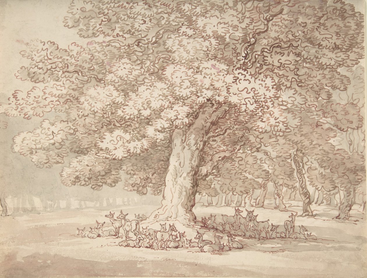 Herd of Deer under an Oak Tree, 1775-1827 by Thomas Rowlandson