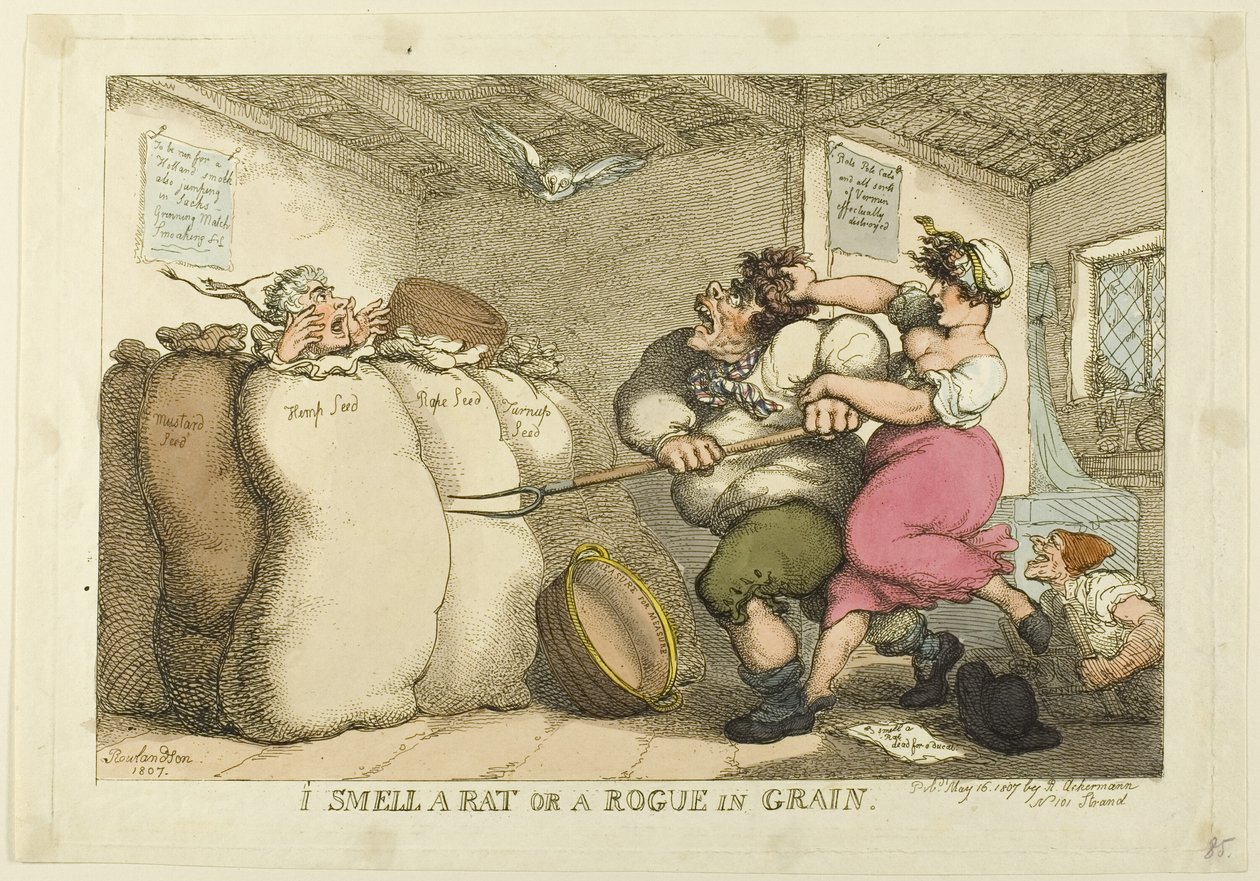 I Smell a Rat or a Rogue in Grain by Thomas Rowlandson