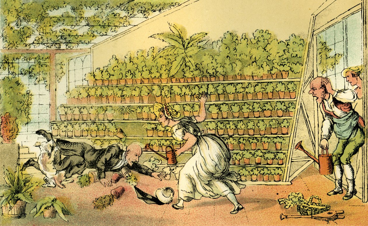 Misfortune at Tulip Hall by Thomas Rowlandson