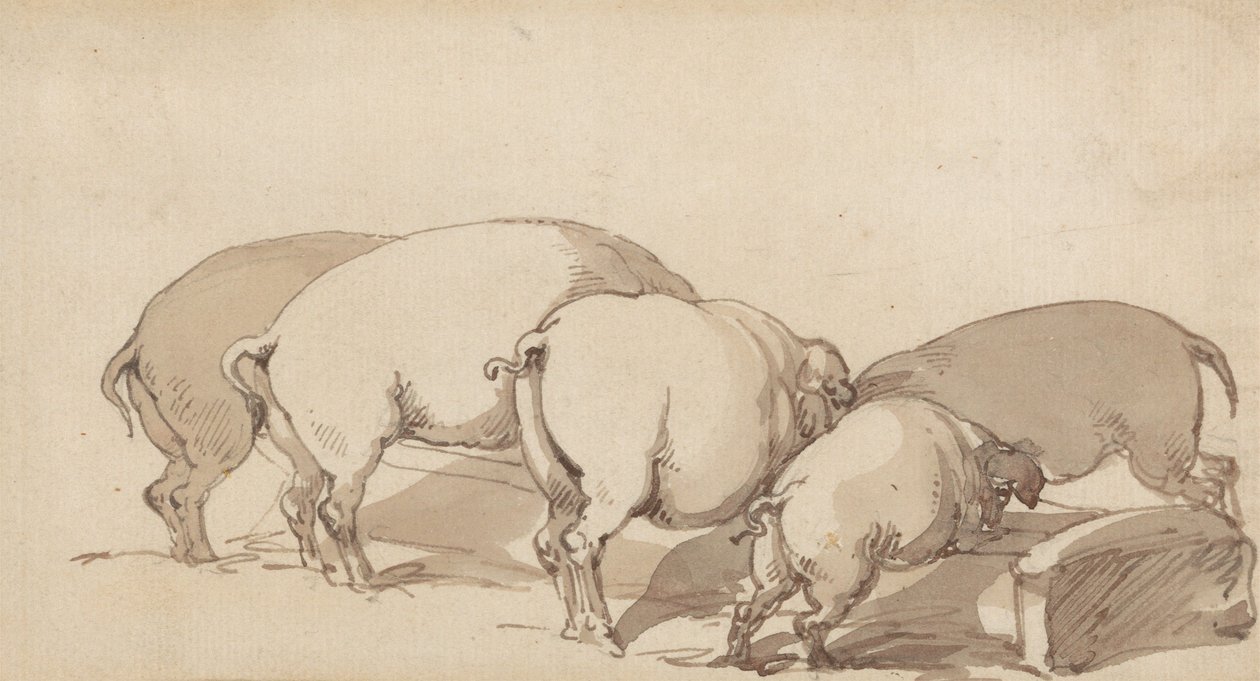 Pigs at a Trough by Thomas Rowlandson