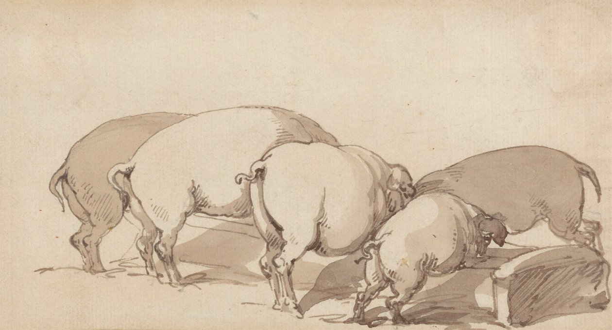 Pigs at a Trough, c.1790 by Thomas Rowlandson