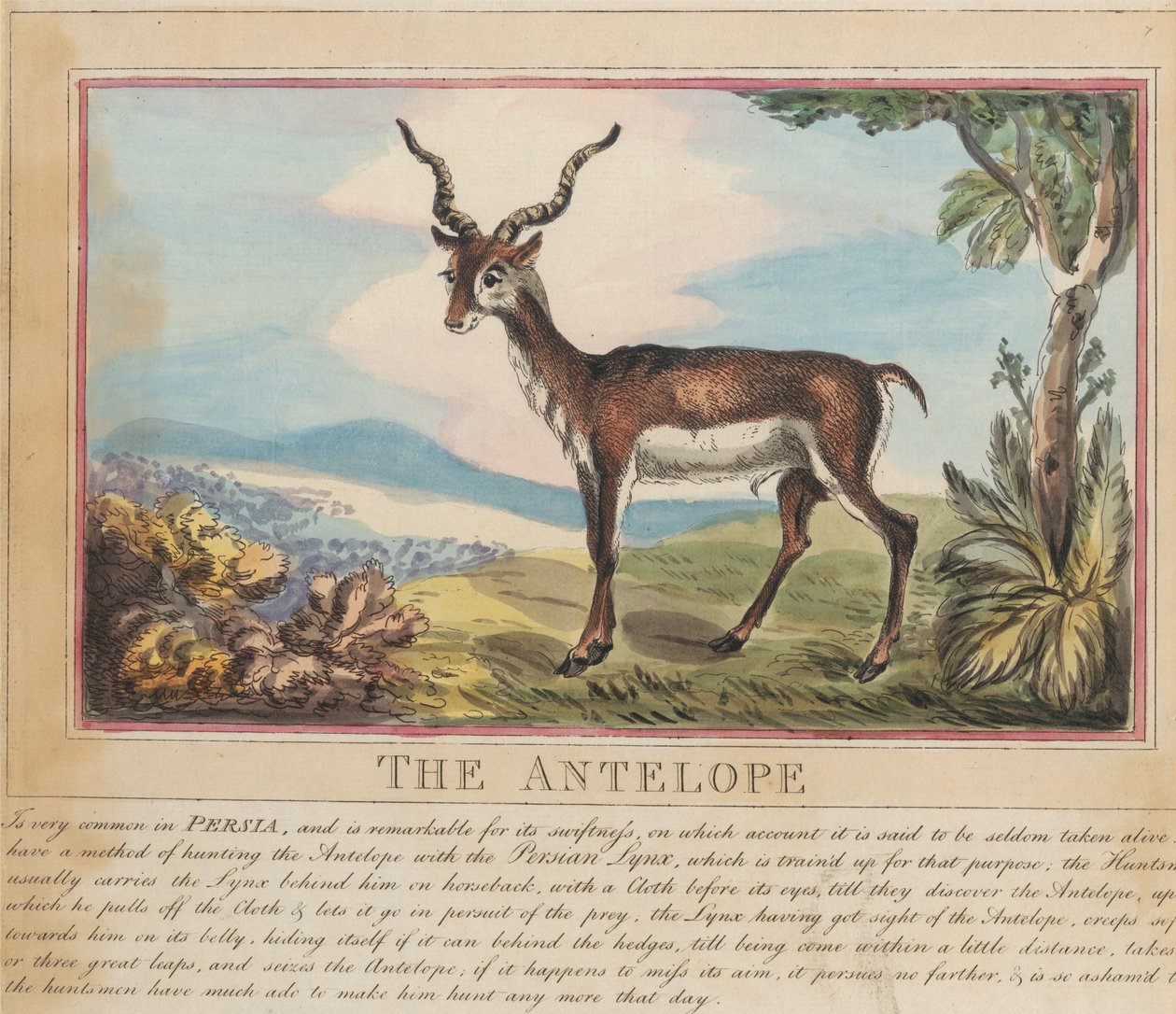 Set of Eight with Title-Page. 