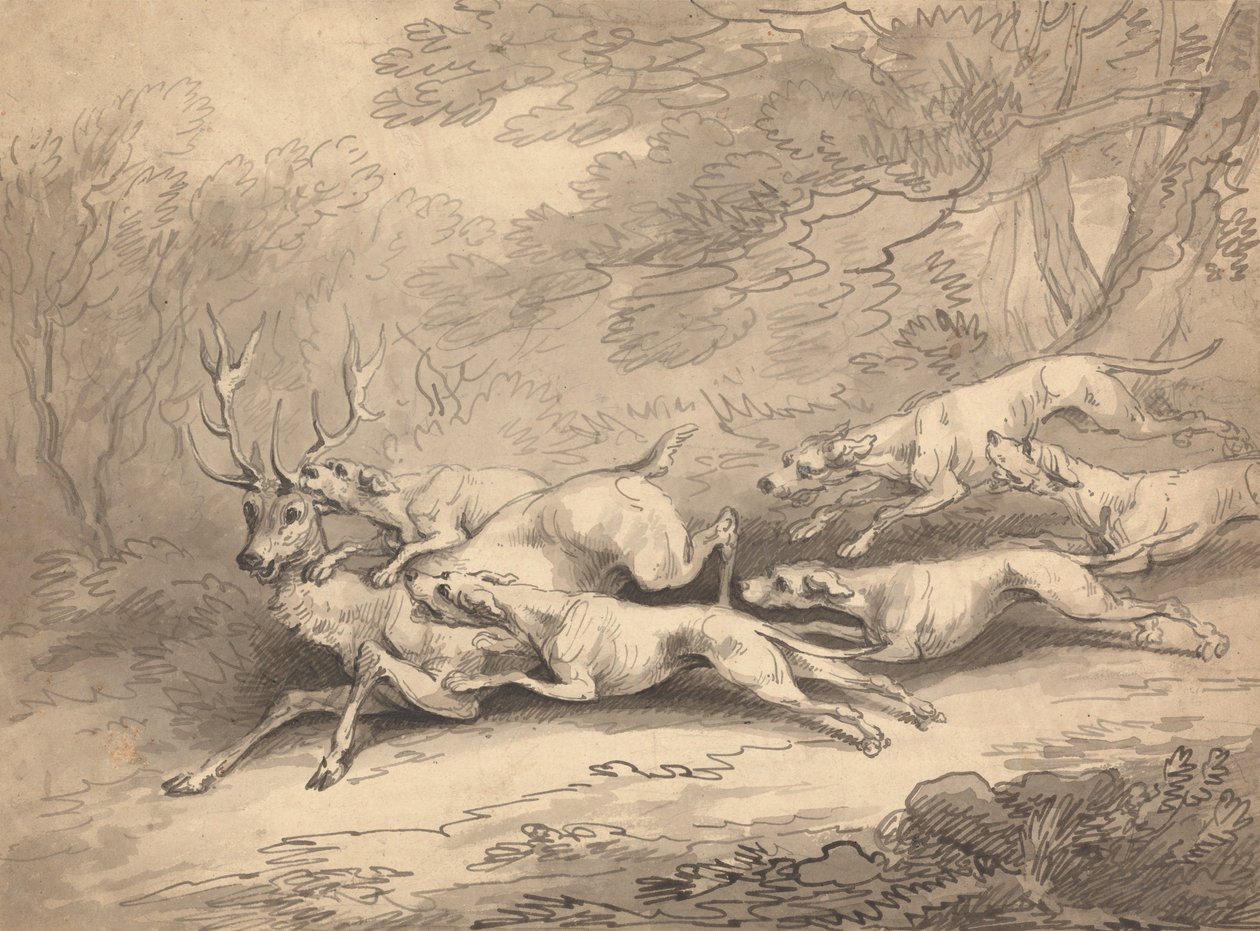 Stag Brought Down by a Pack of Dogs by Thomas Rowlandson