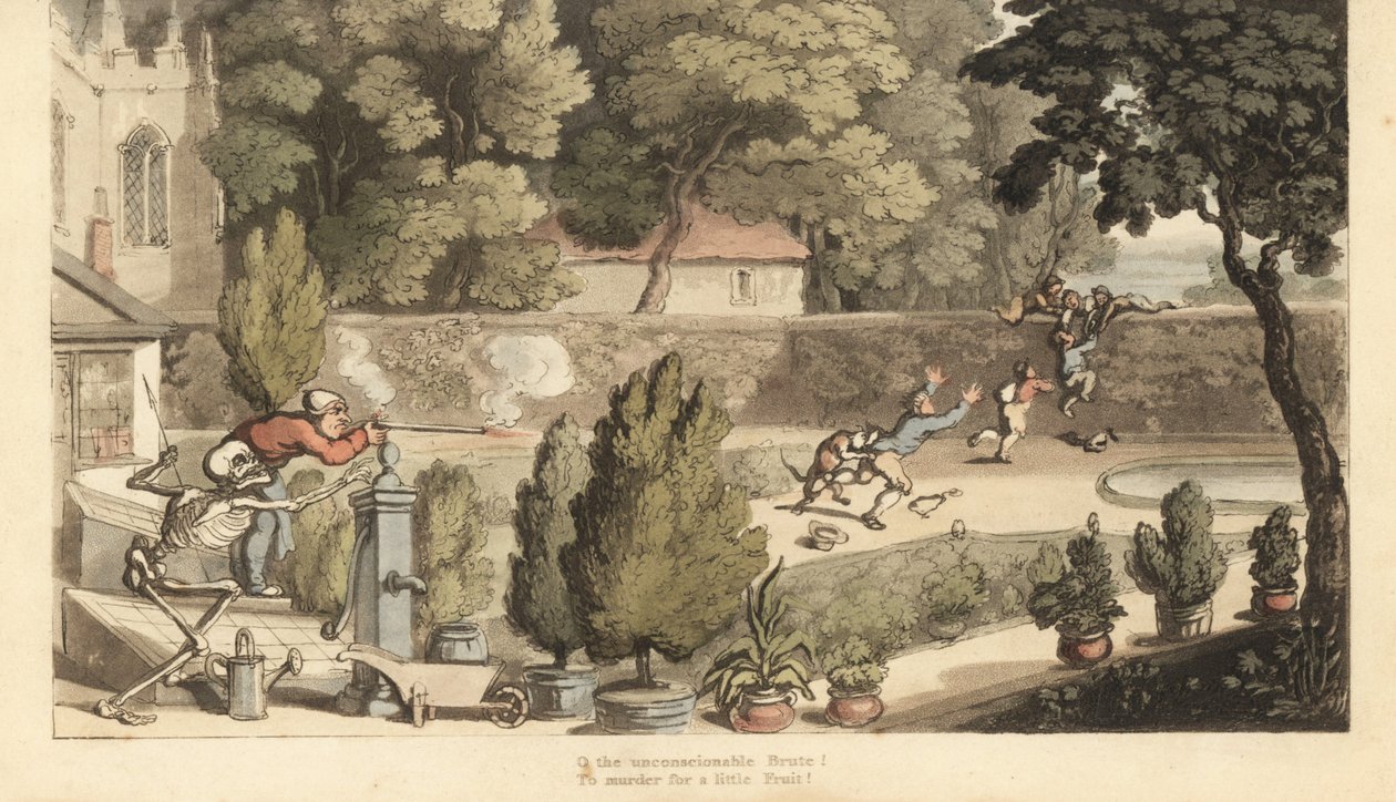 The Skeleton of Death Helps a Landowner Take Aim with a Musket at Boys Poaching in His Garden. Handcoloured Copperplate by Thomas Rowlandson from 