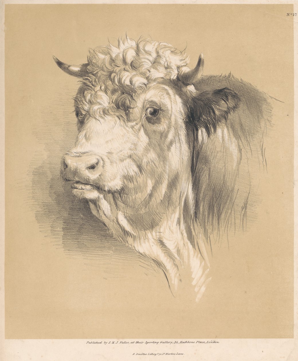 A Cow, No. 27 by Thomas Sidney Cooper
