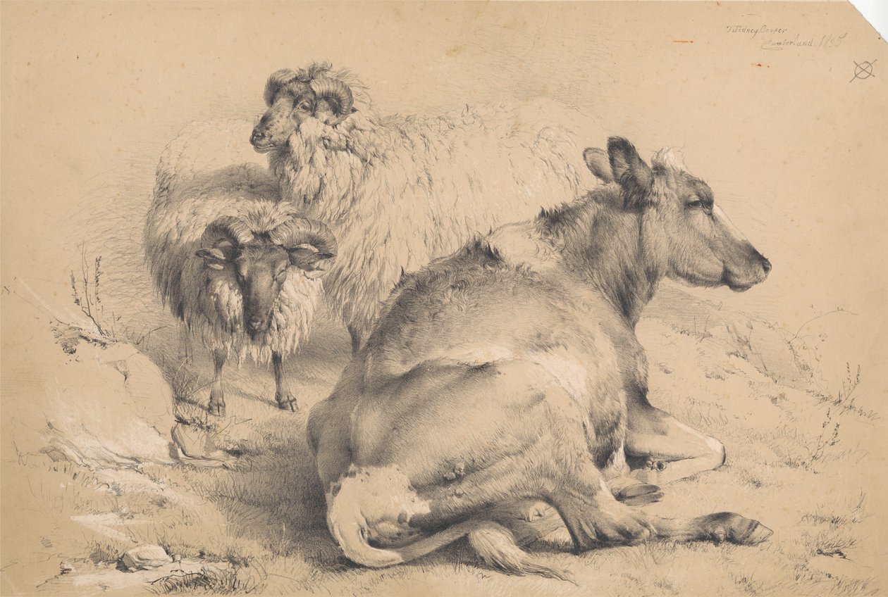 A Cow and Two Rams by Thomas Sidney Cooper
