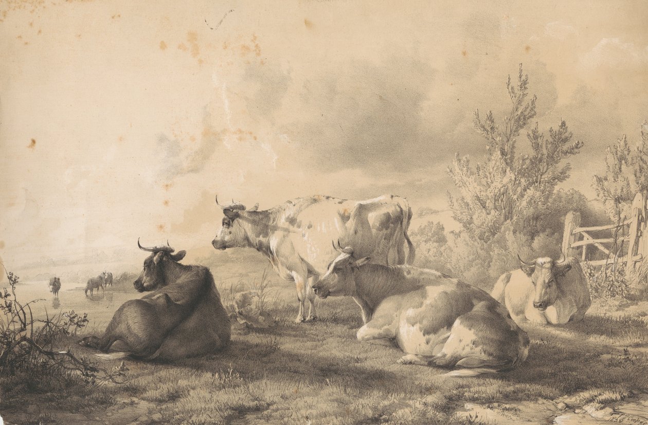 Cattle Lying near a Fence by Thomas Sidney Cooper