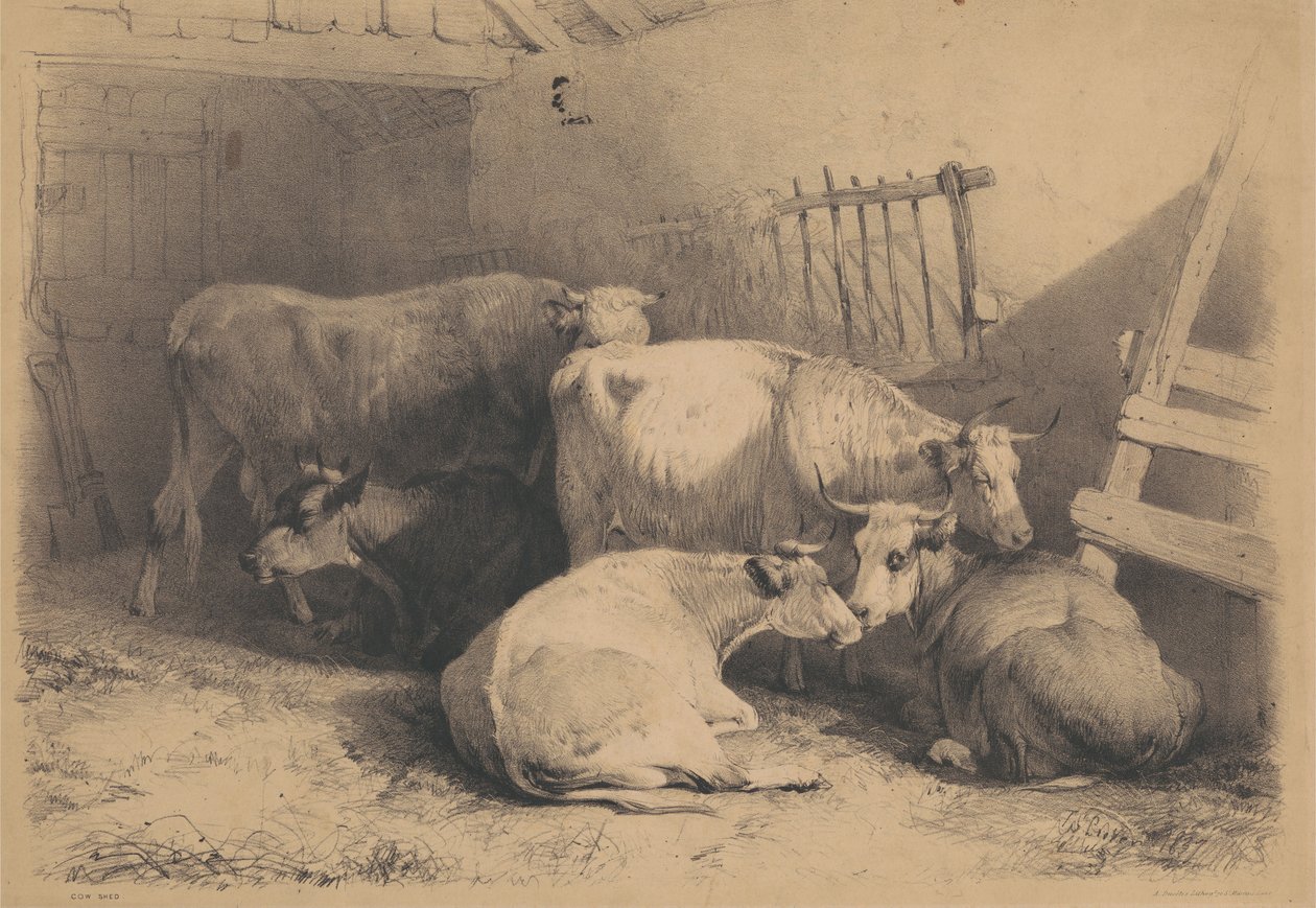 Cow Shed by Thomas Sidney Cooper