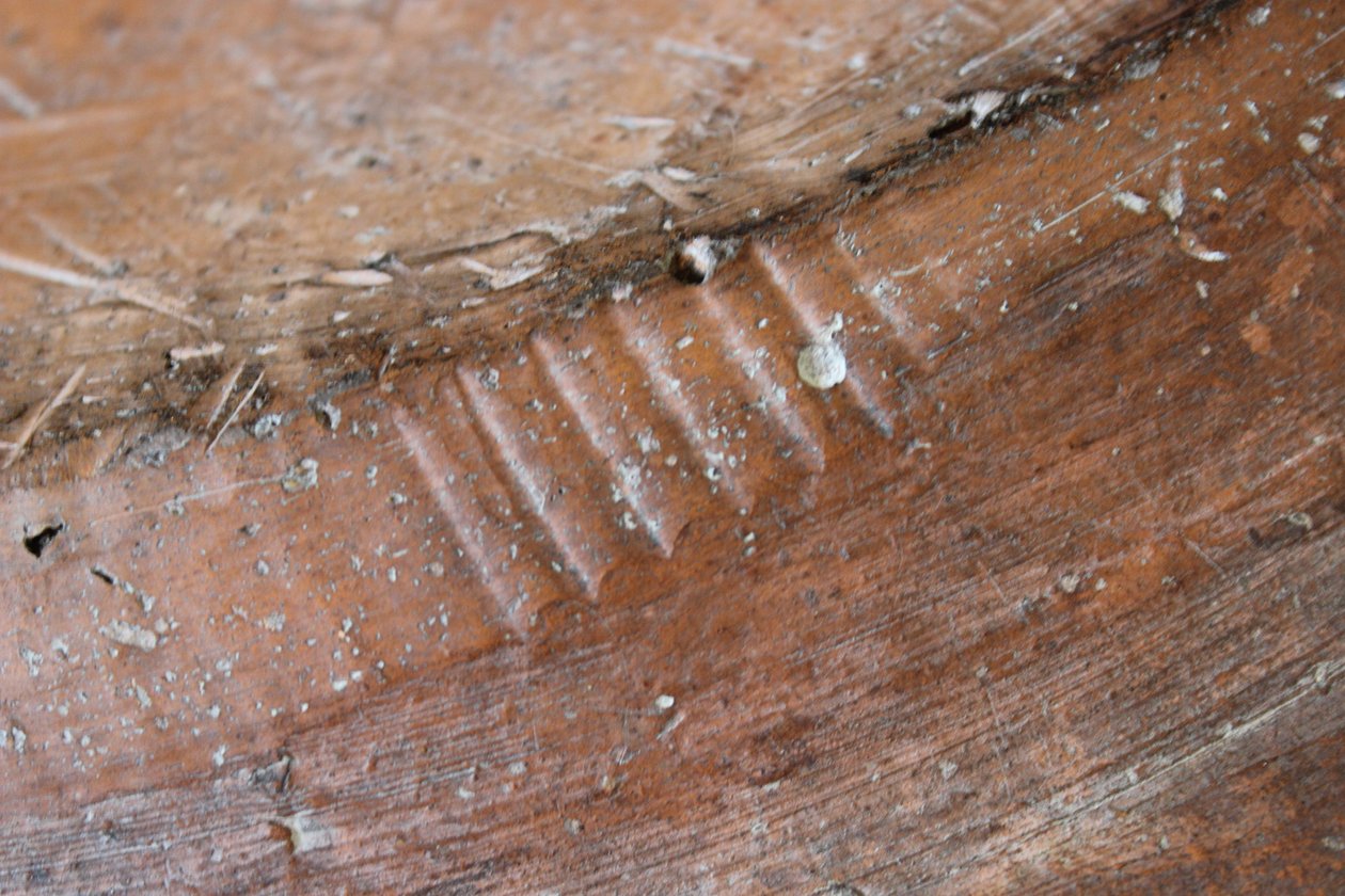 Detail of the reverse of an Adam and Eve slipware dish, North Staffordshire by Thomas Toft