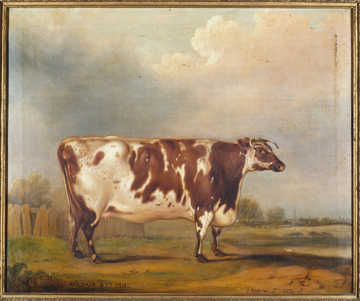 Wildair, an Eight-Year-Old Heifer in a River Landscape by Thomas Weaver