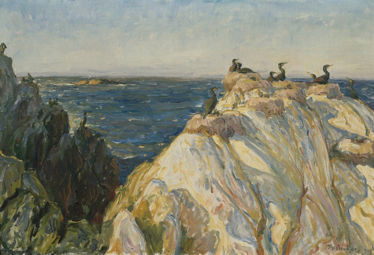 Seabird by Thorolf Holmboe