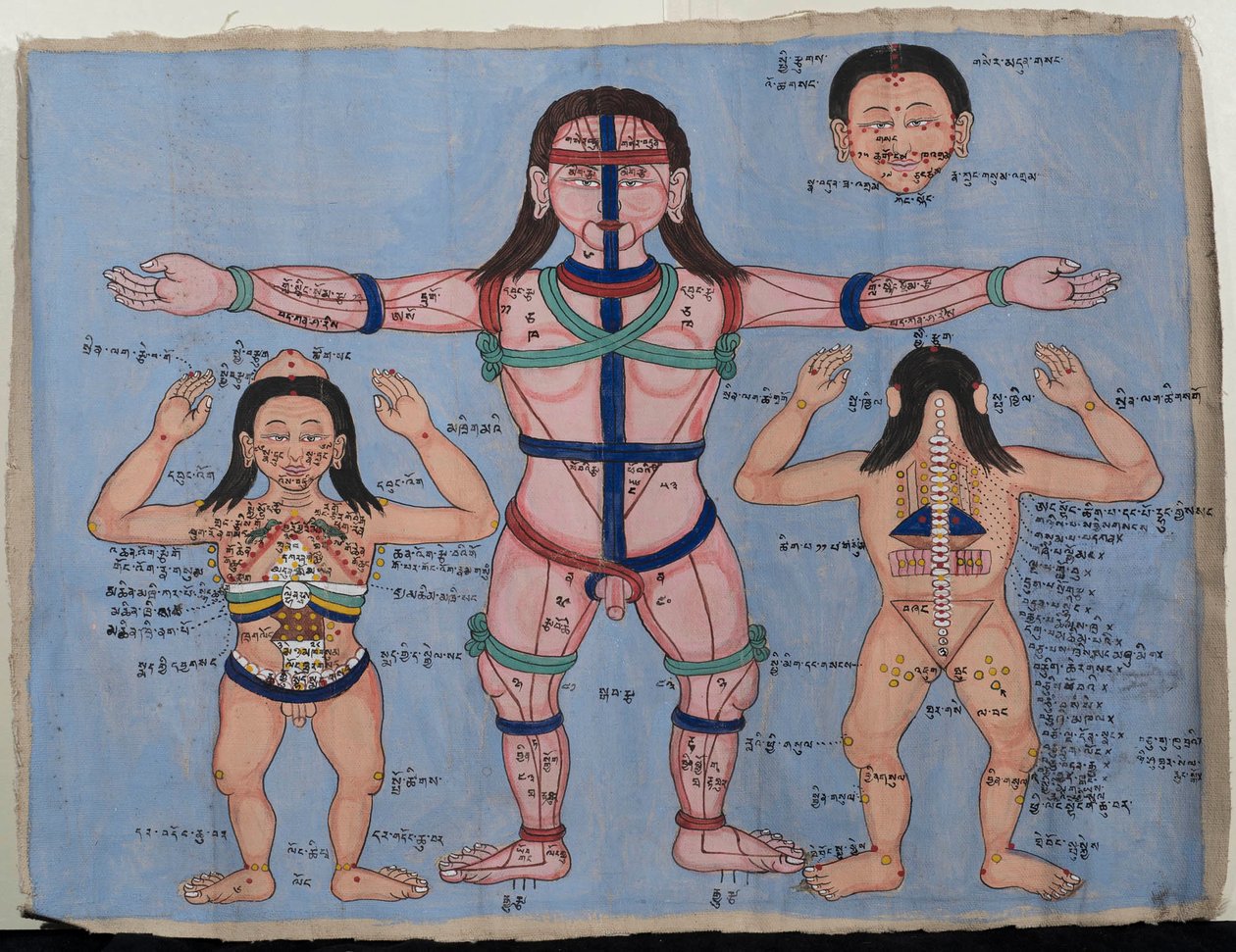 Anatomical Chart by Tibetan School
