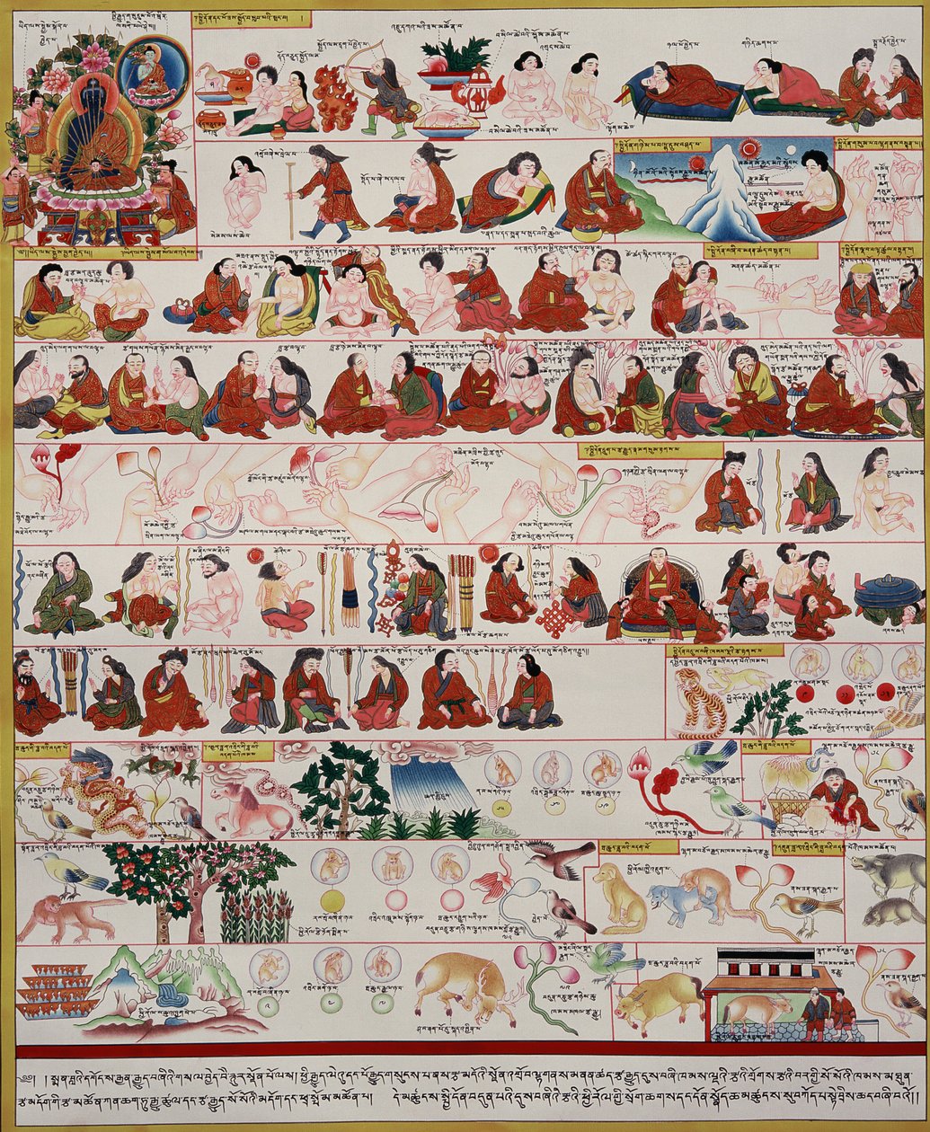 Manuscript on Tibetan medicine by Tibetan School