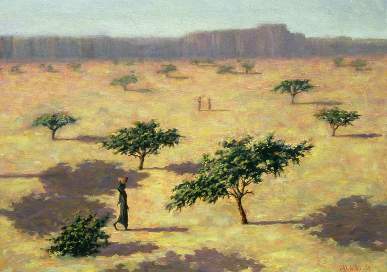Sahelian Landscape, Mali, 1991 by Tilly Willis