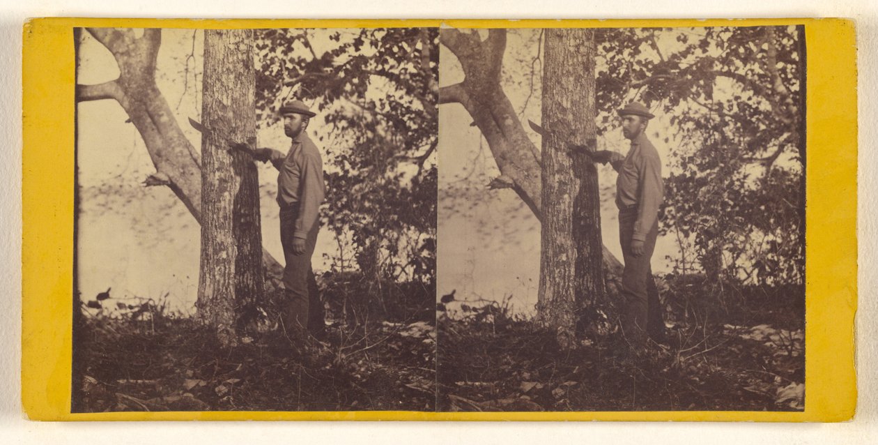 Bowditch by Timothy H. O