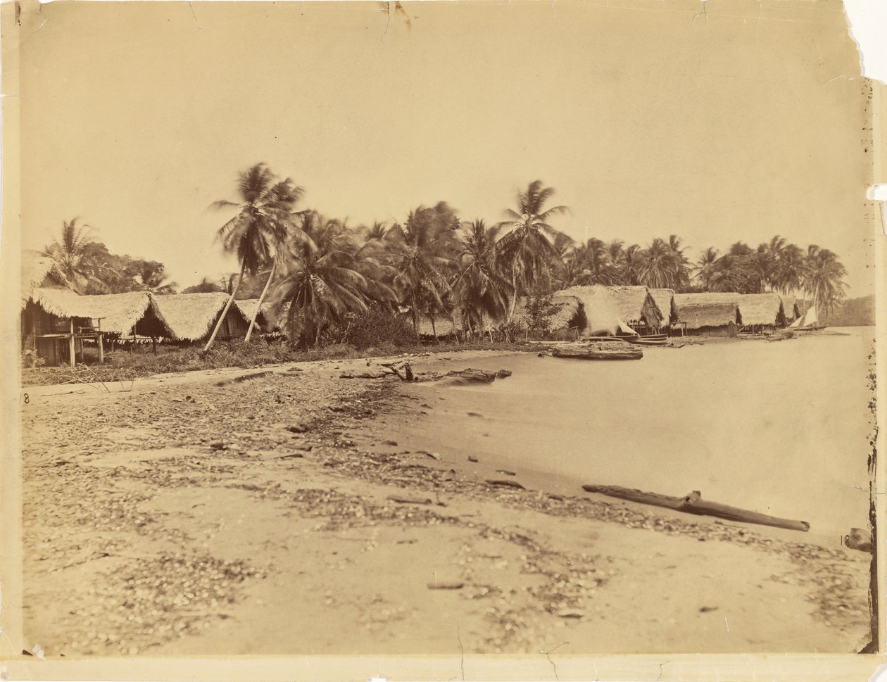 Huts, Palm Trees and Beach, Isthmus of Darién (Panama) by Timothy H. O