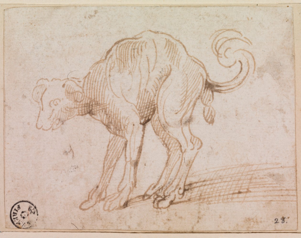 Detail of a dog crossing the Red Sea by Titian (c.1488 1576)