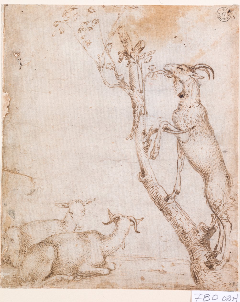 Goats in Pasture by Titian (c.1488 1576)
