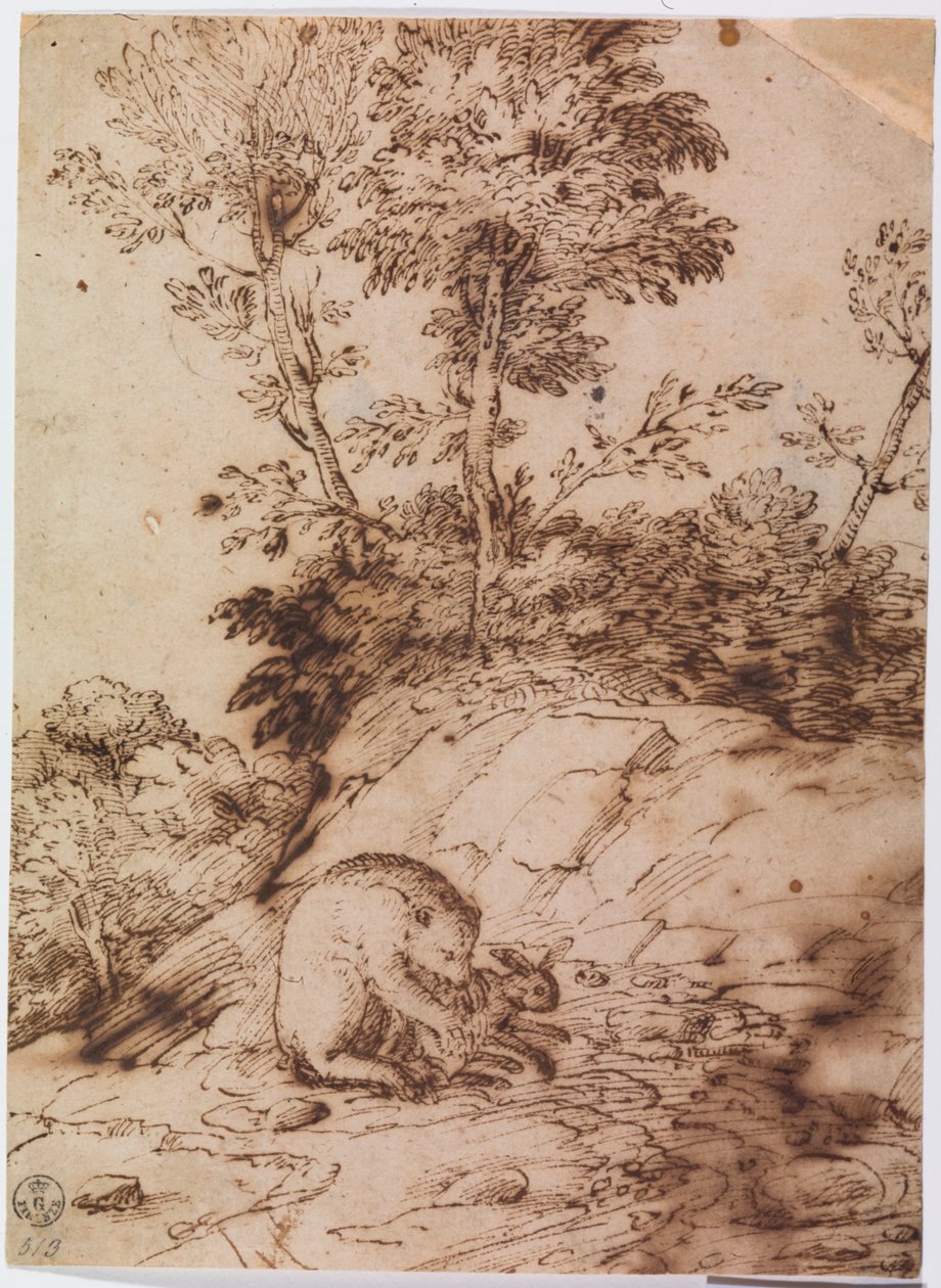 A Bear Eating a Rabbit by Titian (c.1488-1576)