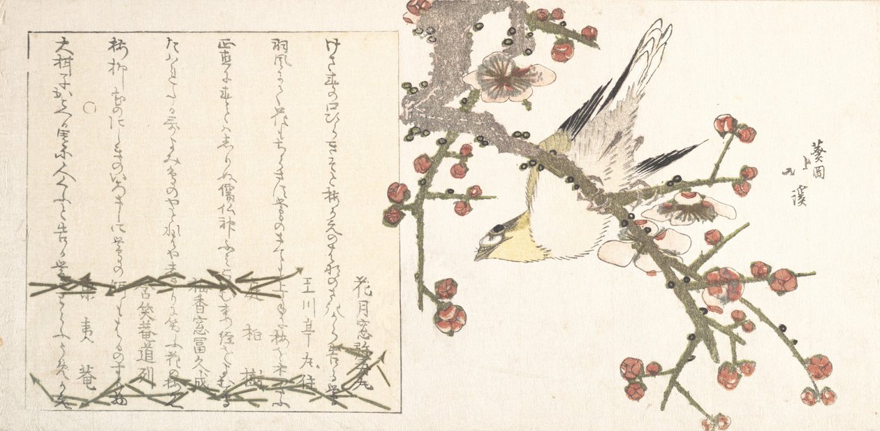 Bush Warbler on a Plum Branch by Totoya Hokkei