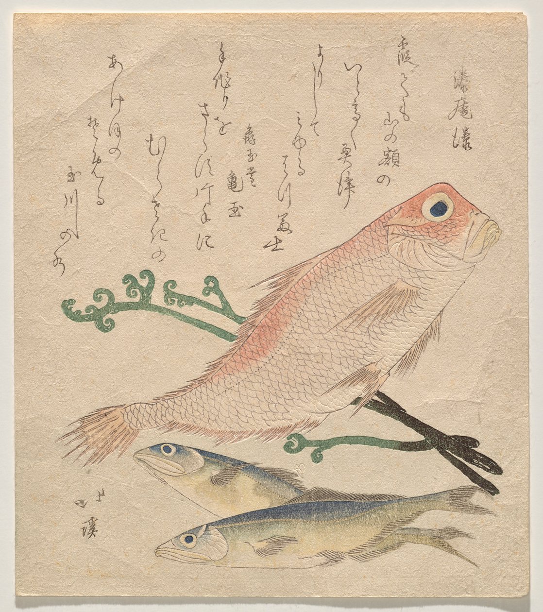 Pink Sea Bream and Two Small Trout by Totoya Hokkei